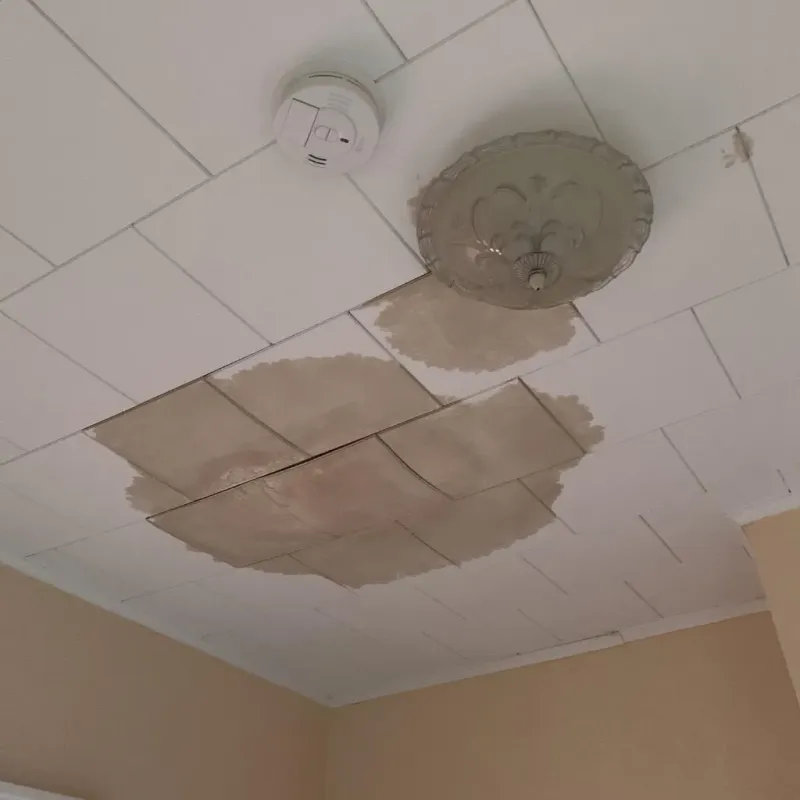 Ceiling Water Damage Repair in Machias, WA