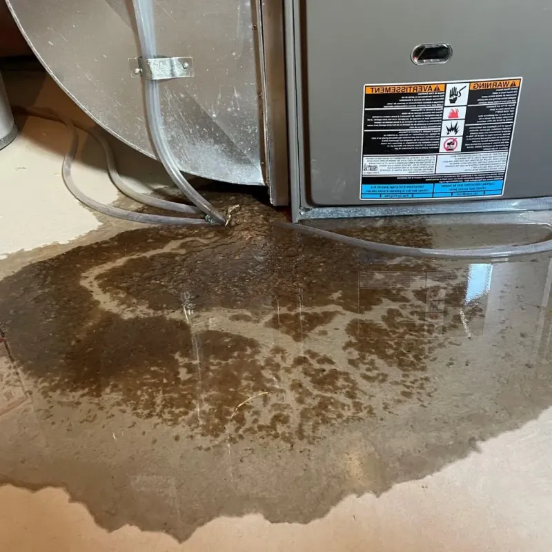 Pipe Burst and Leak Restoration in Machias, WA